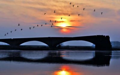 Müssen wir uns fürchten