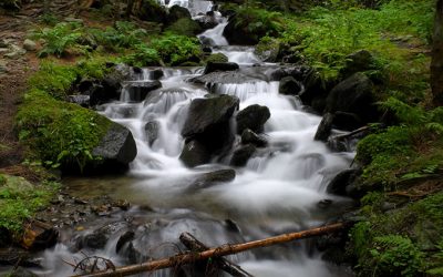 Welches Wasser wähle ich