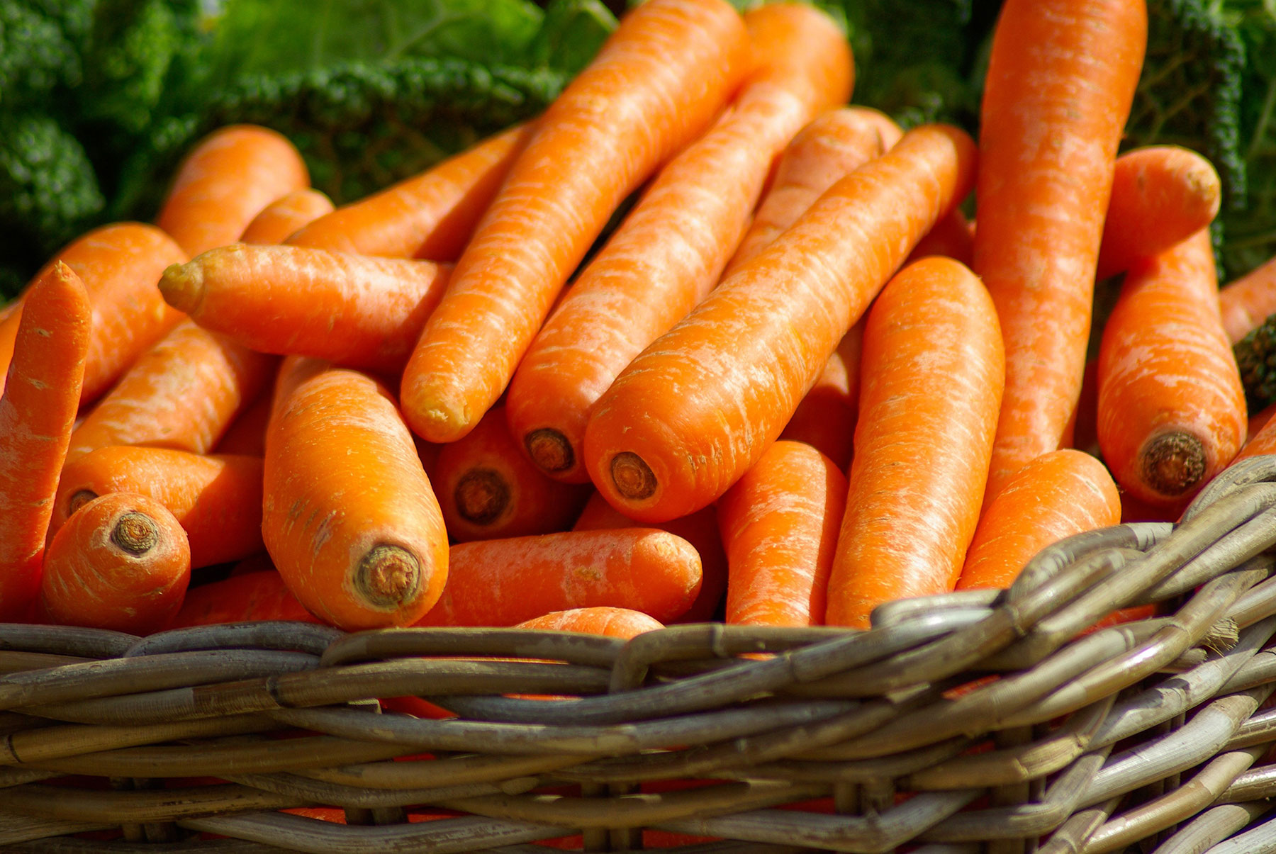 Karotten (Foto: jacqueline-macou, Pixabay)