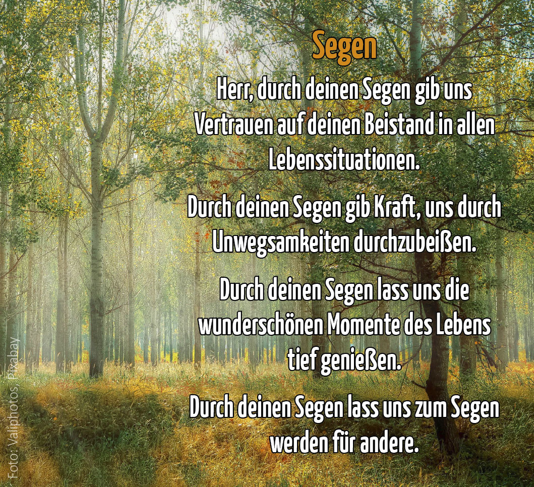 Segen (Foto Lichtdurchdrungener Wald: Valiphotos, Pixabay)