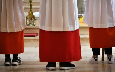 Zukunft der Messdienerarbeit