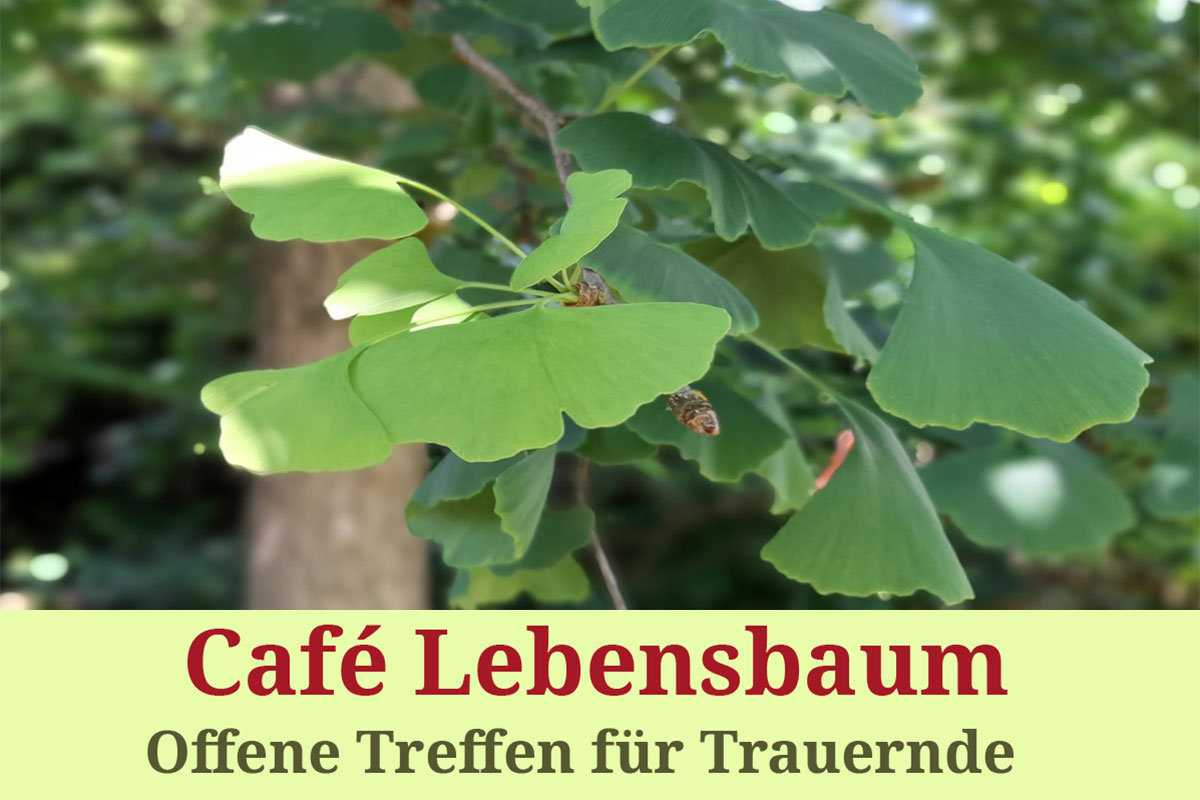 Café Lebensbaum - Offenes Treffen für Trauernde