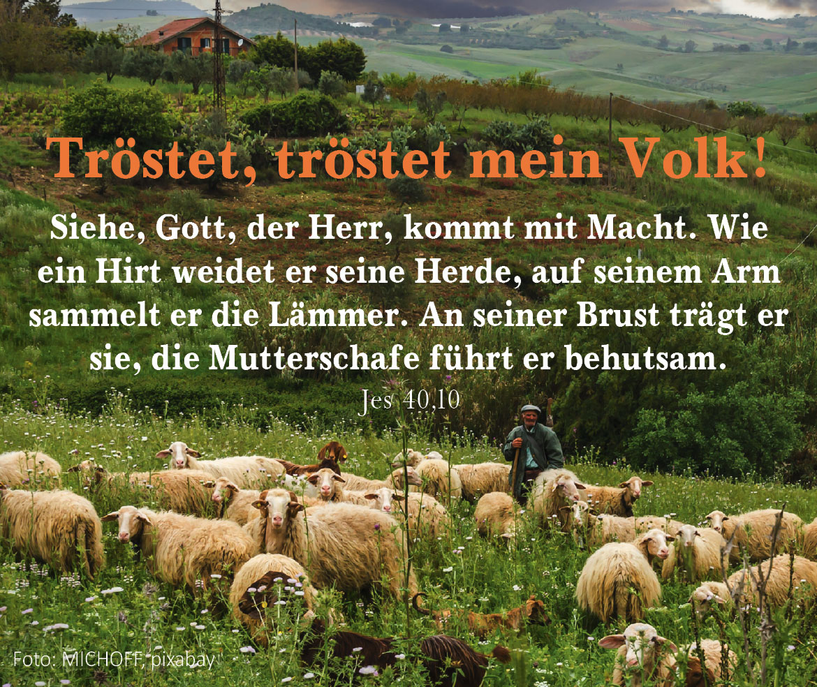 Tröstet, tröstet mein Volk! (Foto: Schäfer mit Herde, MICHOFF, pixabay)