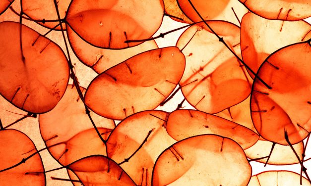 Ja zu Überraschungen