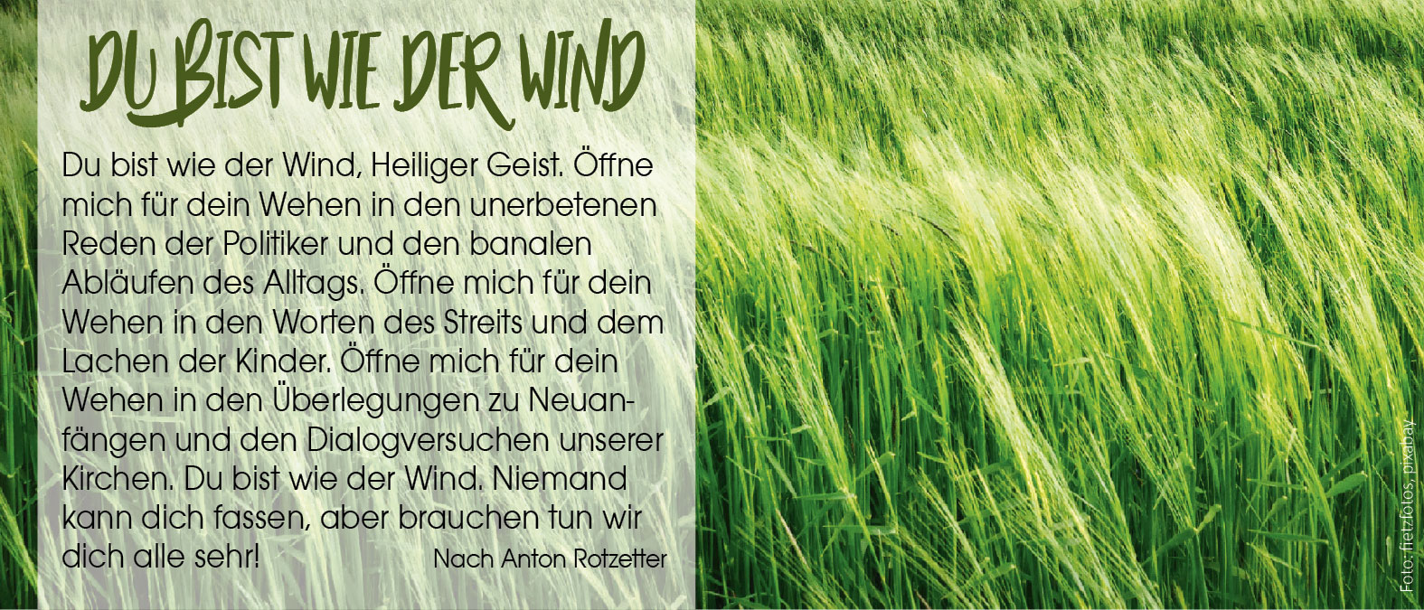 Du bist wie der Wind (Foto: Wogendes Feld, fietzfotos, pixabay)
