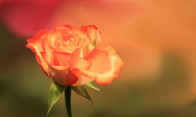 Warten auf das neue Leben