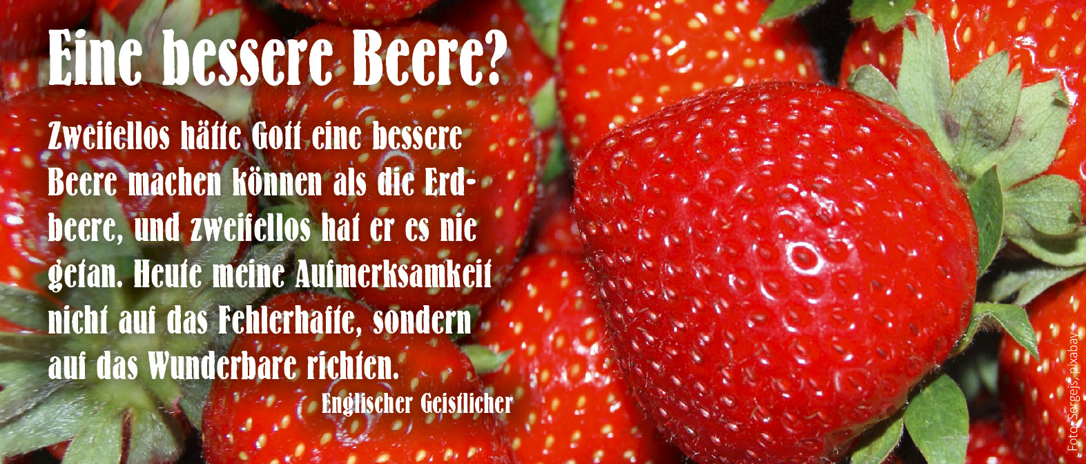 Eine bessere Beere? (Foto Erdbeeren: Sergejs, pixabay)