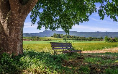 Schweige mit mir