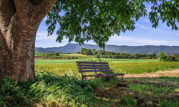 Schweige mit mir