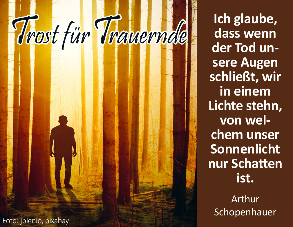 Trost für Trauernde (Mann im Licht - Foto: Foto: jplenio, pixabay)