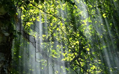 Ganz weit weg – und doch so nah