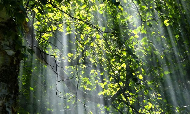 Ganz weit weg – und doch so nah
