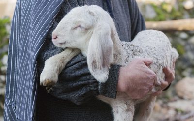 Ferienzeit – Zeit zum Durchatmen, auch für die Seele