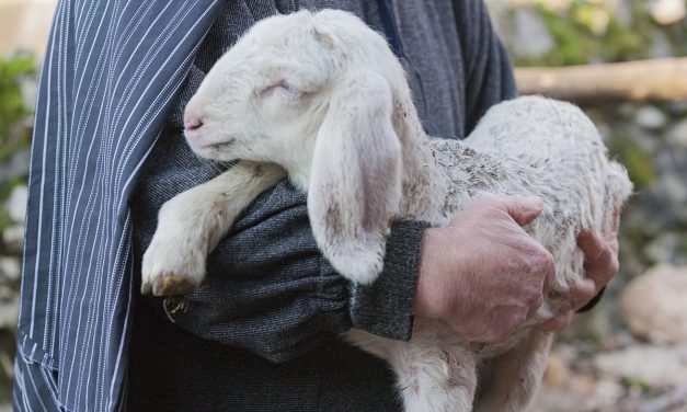 Ferienzeit – Zeit zum Durchatmen, auch für die Seele