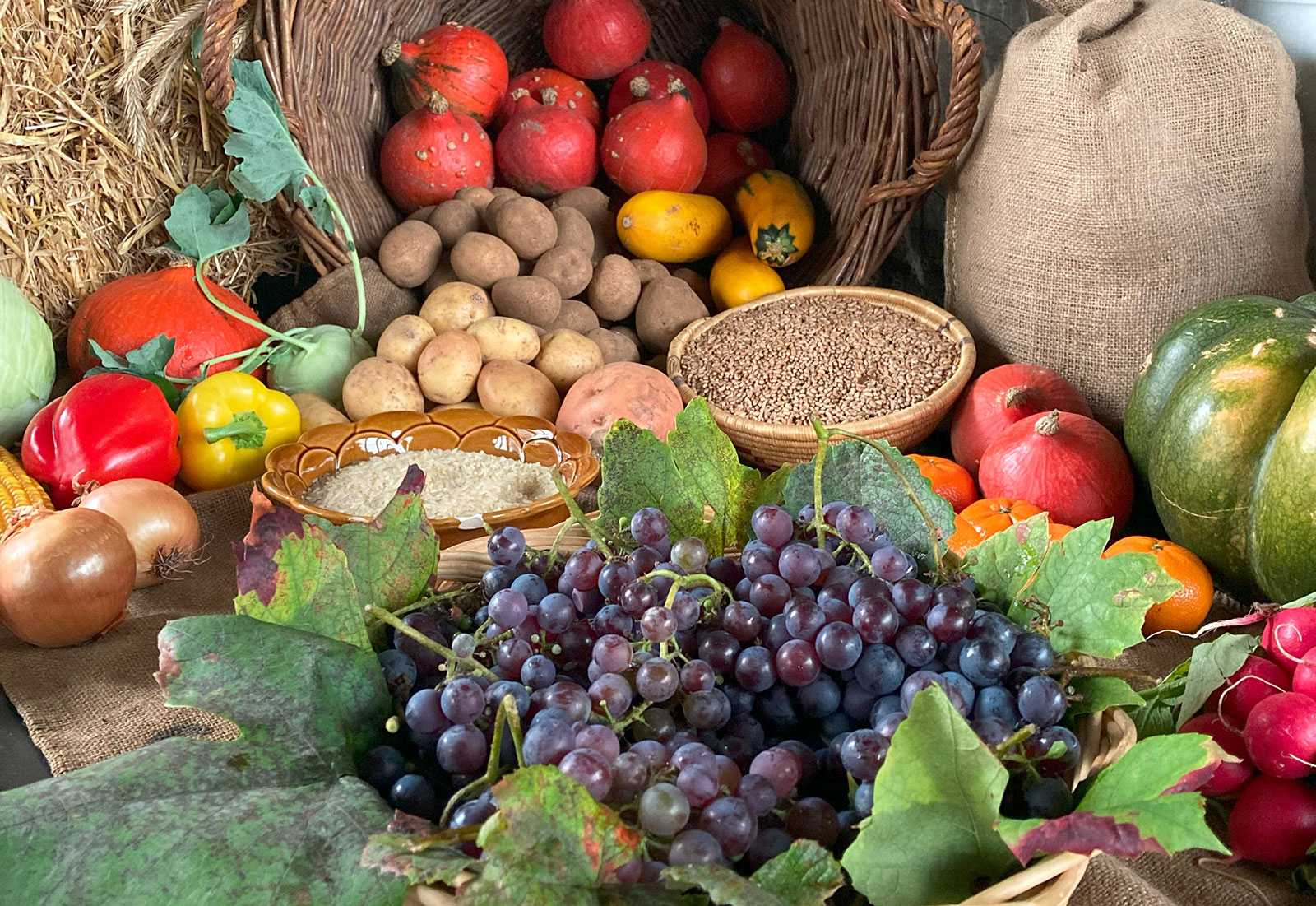 Erntedank (Foto: Andreas Kroener, Pfarrbriefservice.de)
