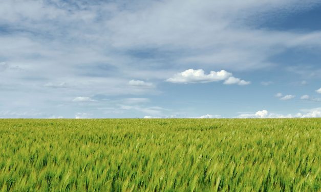 Auferstanden, das ist