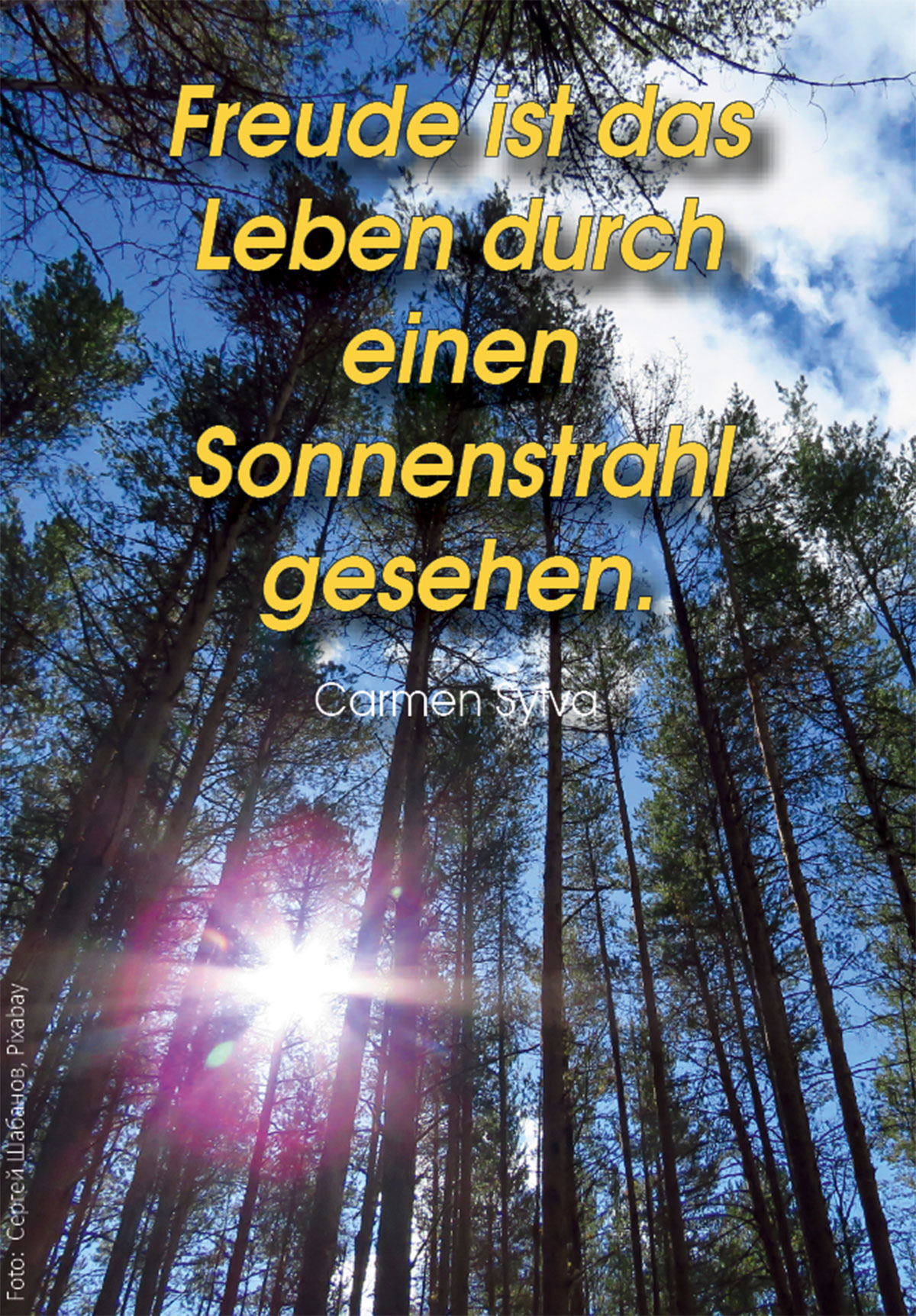 Freude ist das Leben durch einen Sonnenstrahl gesehen. (Foto Sonnenstrahl : sergei_spas-trees-5579580_pixabay.com)