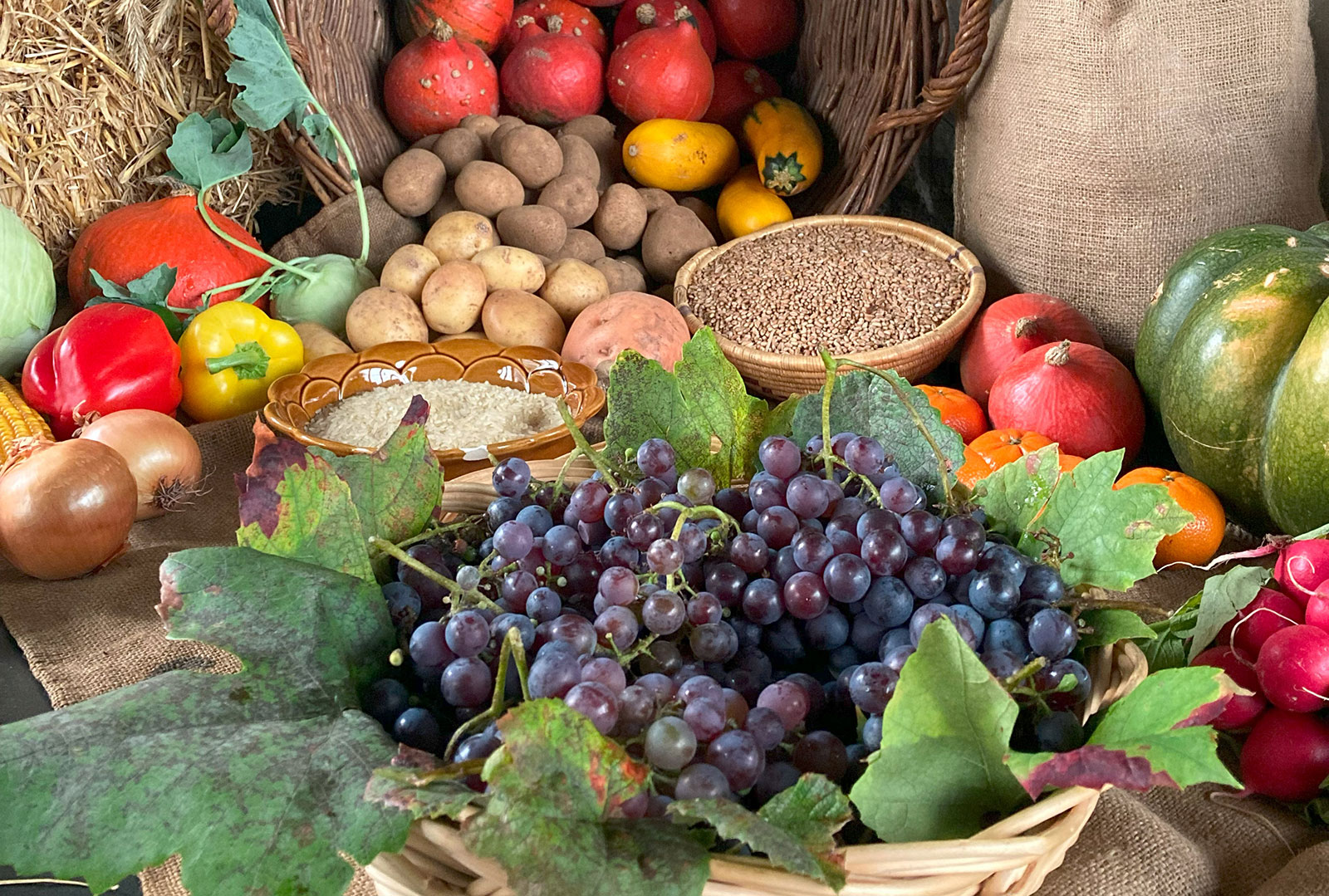 Erntedank (Foto: Andreas Kr&ouml;ner, Pfarrbriefservice.de)